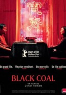 Black Coal, Thin Ice poster image