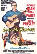 Love Me Tender poster image