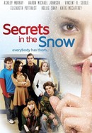 Secrets in the Snow poster image