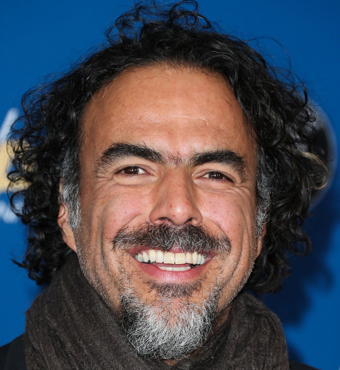 Alejandro González Iñárritu - Rotten Tomatoes