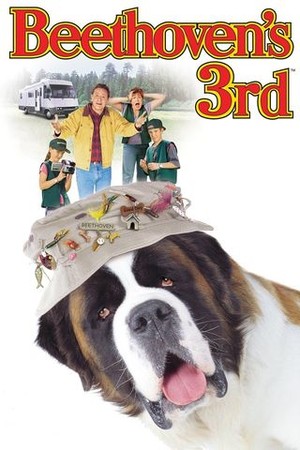 Beethoven's 3rd poster