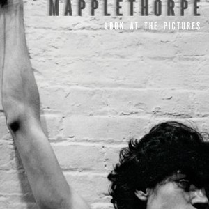 Mapplethorpe: Look at the Pictures photo 6