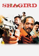 Shagird poster image