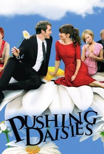 Pushing Daisies: Season 2 poster image