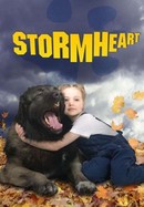 Stormheart poster image