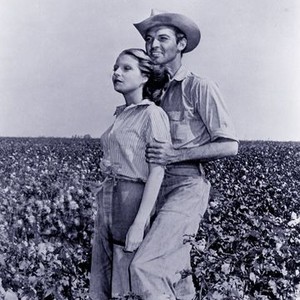 The Southerner (1945) photo 2