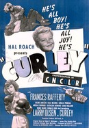 Curley poster image
