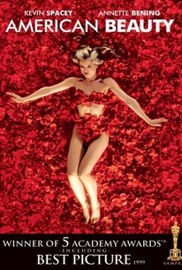 Image result for american beauty movie