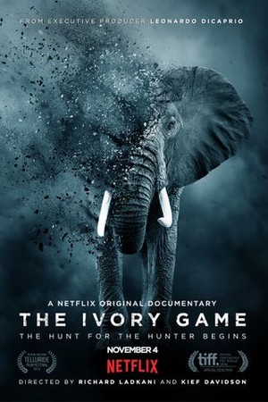The Ivory Game poster