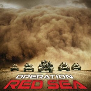 Operation Red Sea (2018) photo 4