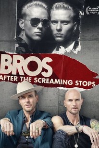 When the Screaming Stops poster