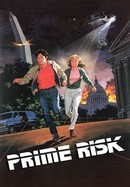 Prime Risk poster image