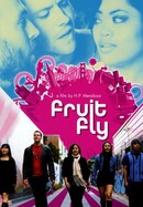 Fruit Fly poster image