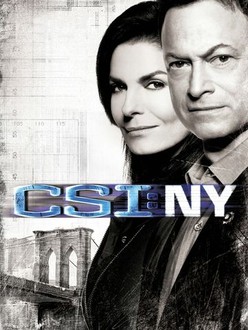 CSI: New York: Season 7, Episode 7 | Rotten Tomatoes