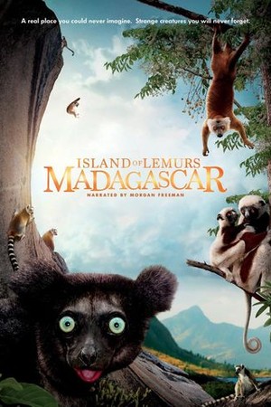 Island of Lemurs: Madagascar poster