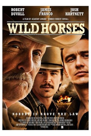 Wild Horses poster