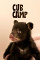 Cub Camp