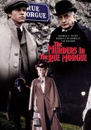 The Murders in the Rue Morgue poster image