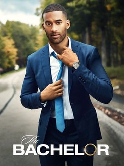 The Bachelor Season 25 Rotten Tomatoes