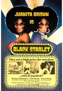 Black Starlet poster image