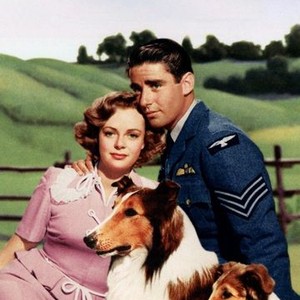 Son of Lassie photo 6