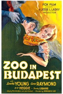 Zoo in Budapest poster
