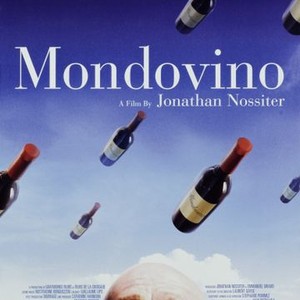 Mondovino (2004) photo 14