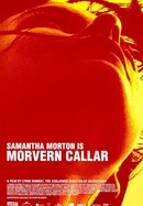 Morvern Callar poster image