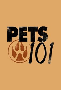 Pets 101 | Rotten Tomatoes
