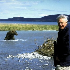 David Attenborough's The Life of Mammals - Rotten Tomatoes