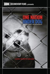 One Nation Under Dog