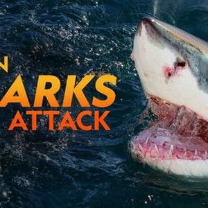 Shark Attack Deathmatch