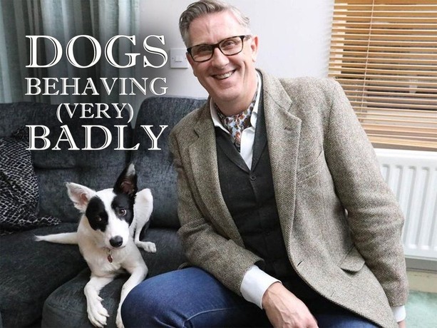 Dog behaving badly top
