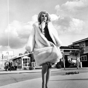KITTEN WITH A WHIP, Ann-Margret, 1964