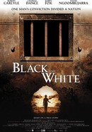 Black and White poster image