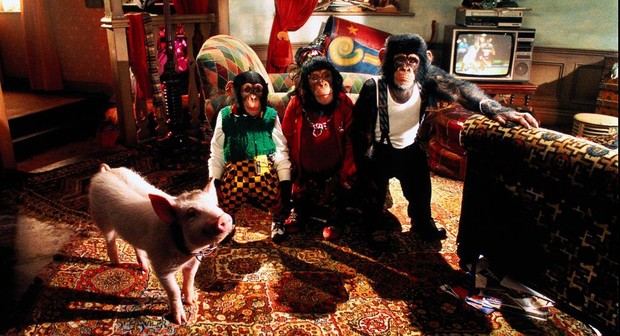Babe: Pig in the City | Rotten Tomatoes