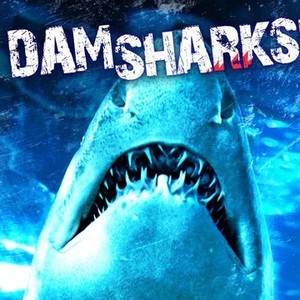 Dam Sharks! photo 1