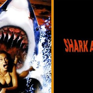 Shark Attack 2 photo 5