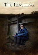 The Levelling poster image