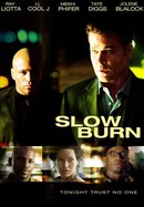 Slow Burn poster image