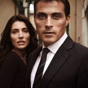 Zen - Rotten Tomatoes