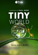 Tiny World poster image