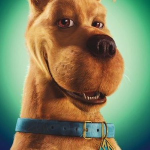 Scooby-Doo photo 5