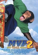 MVP2: Most Vertical Primate poster image