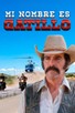 Poster for 