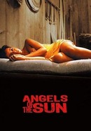 Angels of the Sun poster image