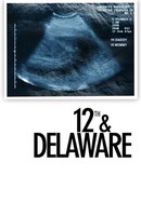 12th & Delaware poster image