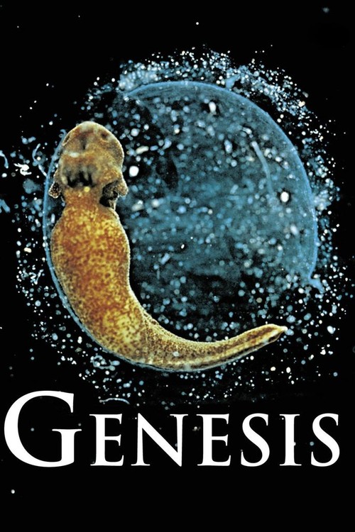 Genesis poster