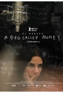 Poster for A Dog Called Money