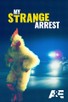 Poster for 